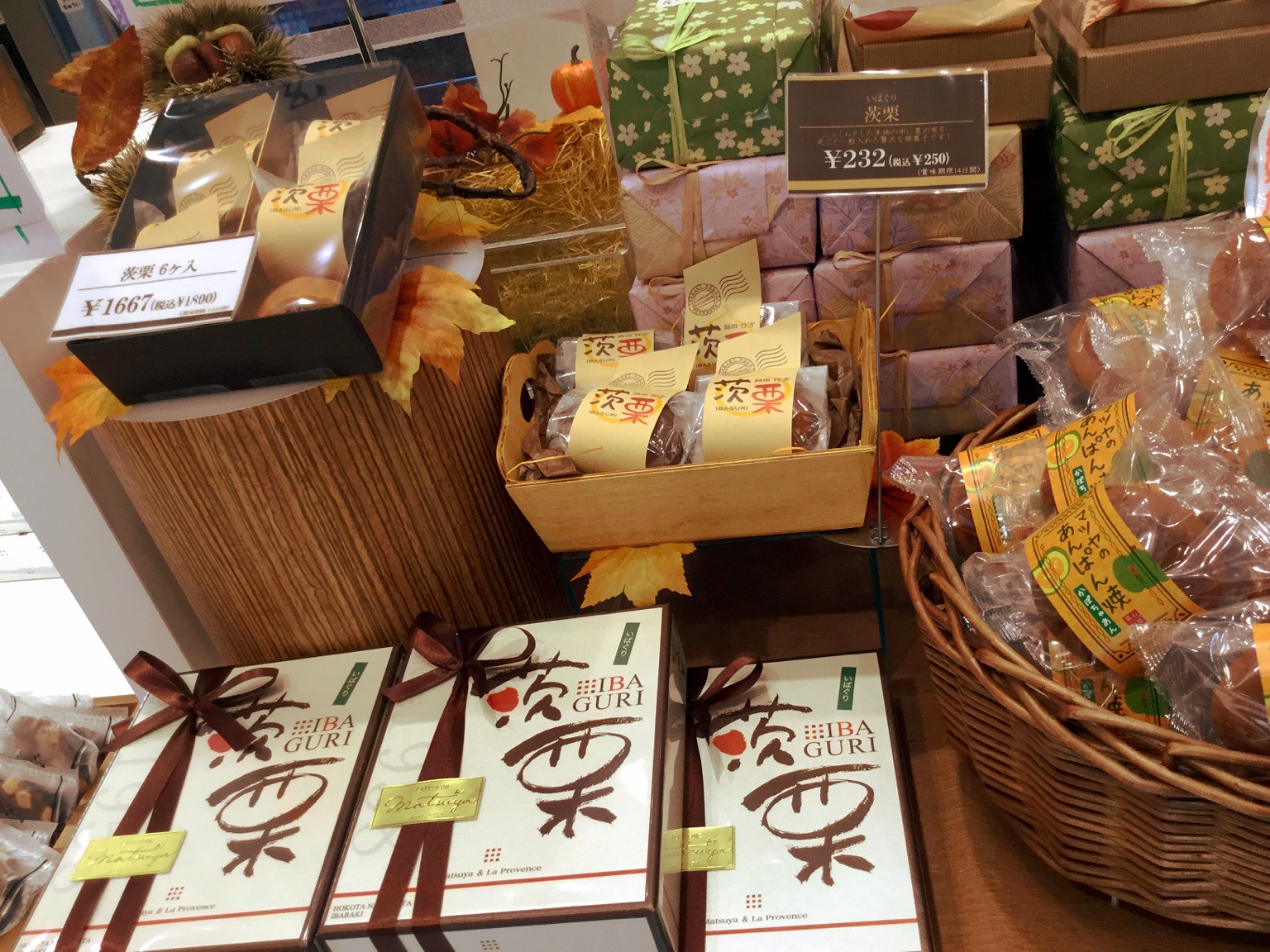 栗がごろごろ🌰