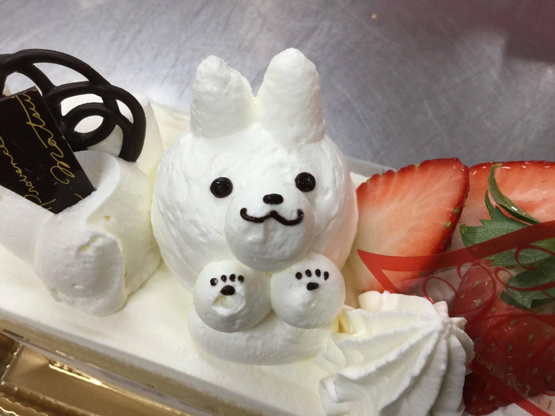 うさぎさん(๑>◡<๑)