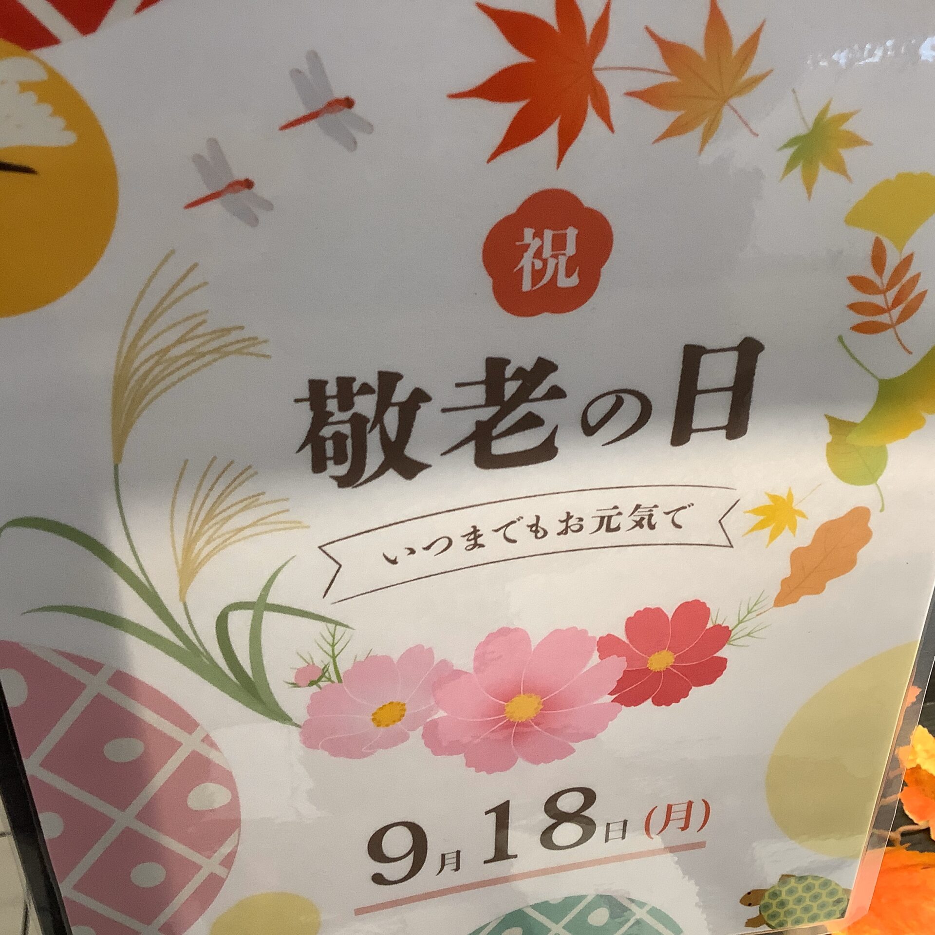 9/18(月)敬老の日🍁